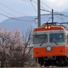上高地線 下新の桜