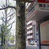 お役所前の風景（119）