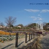 【名古屋】待ちに待った桜の開花！！！東山動植物園ではまもなく宵の八重桜散歩が始まります♪