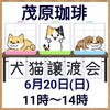 イベントレポ☆茂原珈琲  ６月２０日(日) 千葉 茂原市 茂原珈琲店内で、犬猫譲渡会