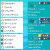 力こそパワー！強いポケモンで勝つ悪統一！