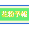 花粉症がある限り！！