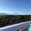 三島のスカイウォーク♫富士山もバッチリ見えました