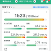 【マイナス15キロ】100日ダイエット65日目🌊プールで活動量あげると決めました！