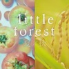 Little forest