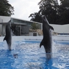 水族館