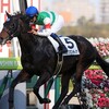 【キャロットクラブ今週の注目馬】トゥザフロンティア