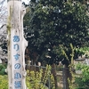 京都の穴場桜・ありすの小径｜有栖川沿いで出会う静かな春