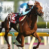 アンカツ（安藤勝己）！ペルーサに騎乗！！有馬記念2011出走馬分析！