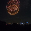 流山の花火大会に行って来ました