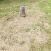 手と足／身体から・254