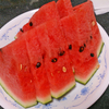 スイカの名産地～♪