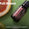 2023年４月 doTERRA