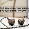 Sony好きにおススメしたいイヤホンDUNU DaVinci！聴けばわかる納得のドンシャリサウンド