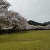 古座川へお花見🌸