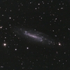 ＮＧＣ４２３６：りゅう座の棒渦巻銀河