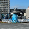 ほっこり癒しの水族館巡りの話。