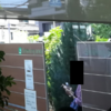 守口市役所が特定屋外喫煙場所を設置(2019年7月1日)→廃止(2022年2月22日)
