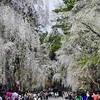 【東北旅行記】in角館