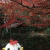 Fall Colors in Arashiyama, Kyoto 