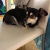 まろにー1522日目