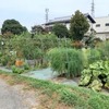 8/15備忘録