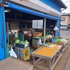 再訪、癒しの森【三浦市・小網代の森】
