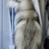 気になる・・・