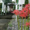 ジョギングで季節の花を詣でる ～明星輪寺のヒガンバナ～