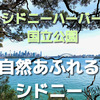 自然と都会が調和した街　週末シドニーの旅