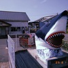 一足先に夏を先取り気分な六月