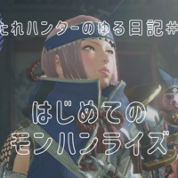 モンハンライズ 初心者が上達するコツ カメラ操作編 ねぎもりゲームズ モンハンライズ 初心者が上達するコツ カメラ操作編 ねぎもりゲームズ