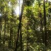 横浜市の森 ウイトリッヒの森【2019年5月と2021年1月を比較】