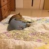 置き場に困ります