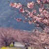 隣町へとお出かけ　～思わぬところで～