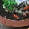 おとなの事情