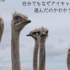 価格って…ここまで違うんだ… めをむいた話