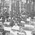 朝鮮紡織釜山工場3千名ストライキ　1930年の労働争議(読書メモ)