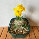 徒然なるままに・・・