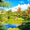 京都ぶらり　本日の一枚　京セラ美術館日本庭園