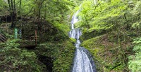 【名瀑】愛知県で唯一の”日本の滝100選”!!『阿寺の七滝』