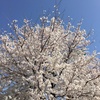 31日、土曜。