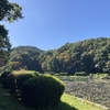 台原森林公園に行ってみました