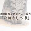 ご機嫌ななめでちょっぴり「たぬきしっぽ」