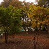 紅葉園→悠久山