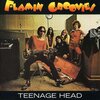 Teenage Head | The Flamin' Groovies