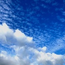 Firmianaの落書き