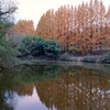 大久保池（埼玉県滑川）