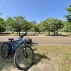 初めてのTemuでの買い物は期待通り?だった