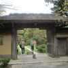 日本建築・庭園の魅力！